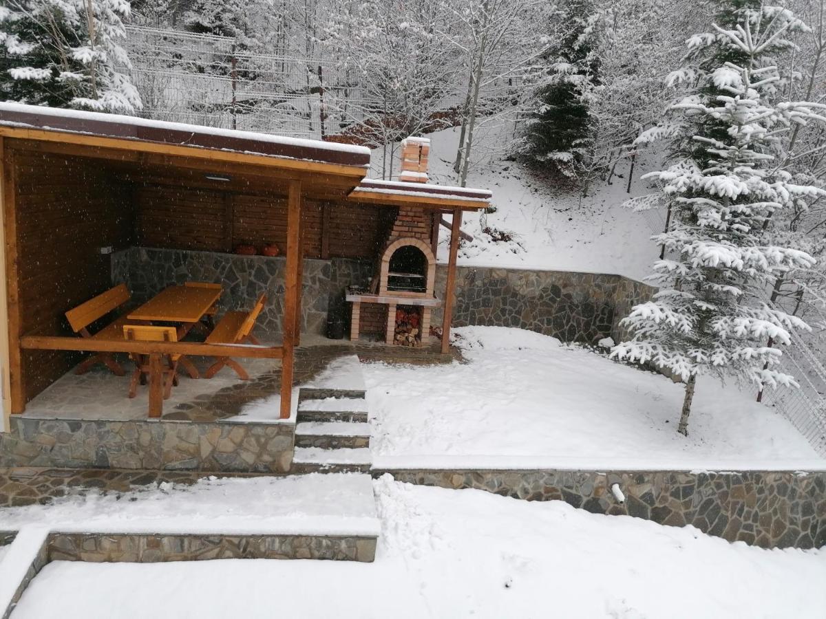 Villa Cedra *